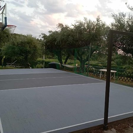 Alex House Aparthotel Ζαχάρω Εξωτερικό φωτογραφία