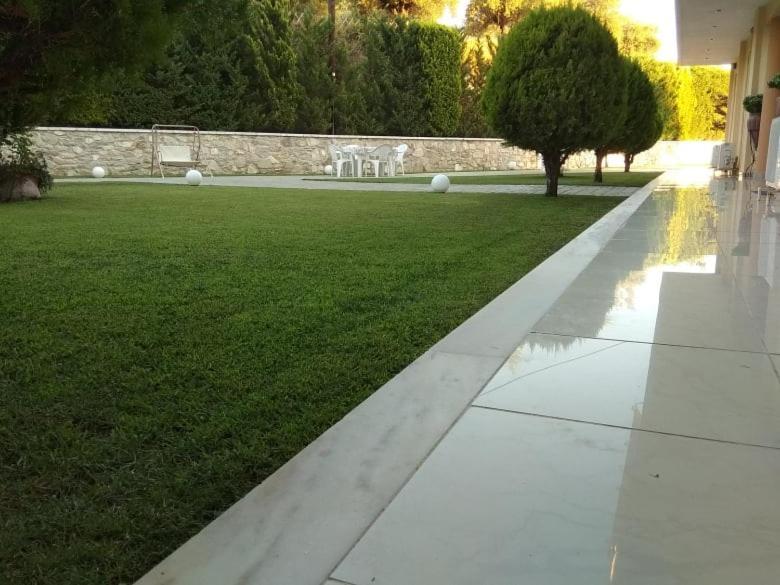 Alex House Aparthotel Ζαχάρω Εξωτερικό φωτογραφία