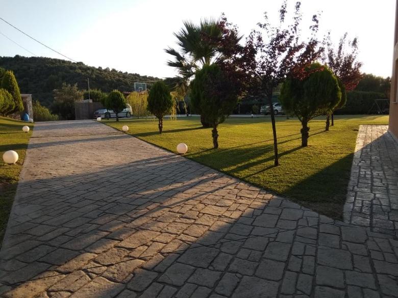 Alex House Aparthotel Ζαχάρω Εξωτερικό φωτογραφία